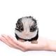 thumbnail image 1 of Mini muñeca de silicona CUTICAT Panda de silicona, 1 of 8