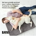 thumbnail image 7 of BARK Memory Foam Platform Dog Bed - Medium, 7 of 7