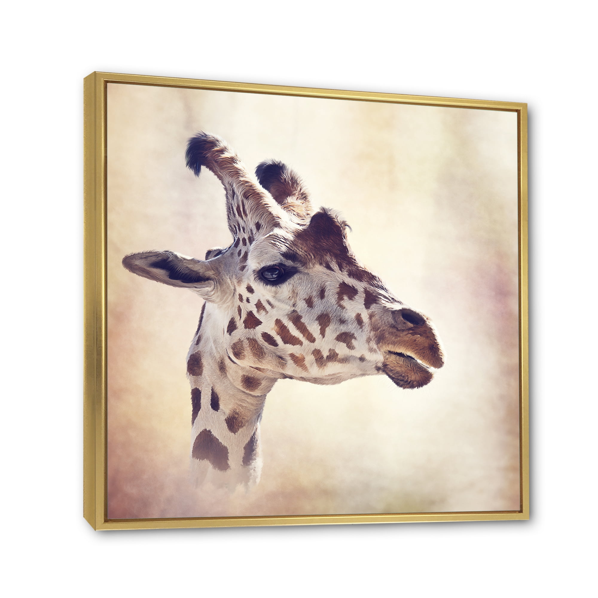 Close Up Portrait of A Giraffe VII 36 in x 36 in Framed Photography Canvas Art Print, by Designart