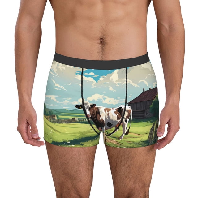 Balery Prairie Pasture Cow Calzoncillos bóxer para hombre, ropa interior de algodón suave y transpirable con cinturilla de nailon-Small
