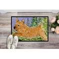 thumbnail image 2 of Carolines Treasures SS8910MAT Norwich Terrier Tapis Intérieur Extérieur - 18 x 27 Po., 2 of 4