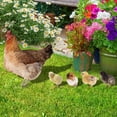 thumbnail image 6 of Aespoir Garden Decor, Realistic Lifelike Hen and Chicks Garden Poultry Statue for Yard Garden Lawn Outdoor Decor Ornaments 5pcs, 6 of 7