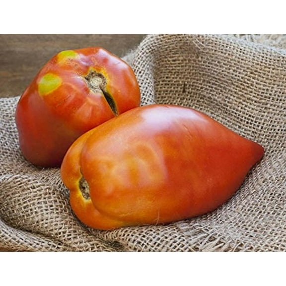 San Marzano Redorta Heirloom Tomato Premium Seeds Packet