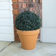 thumbnail image 2 of SHILIU-50-128 20 Led Topiary Solar Light Ball, White, 2 of 4