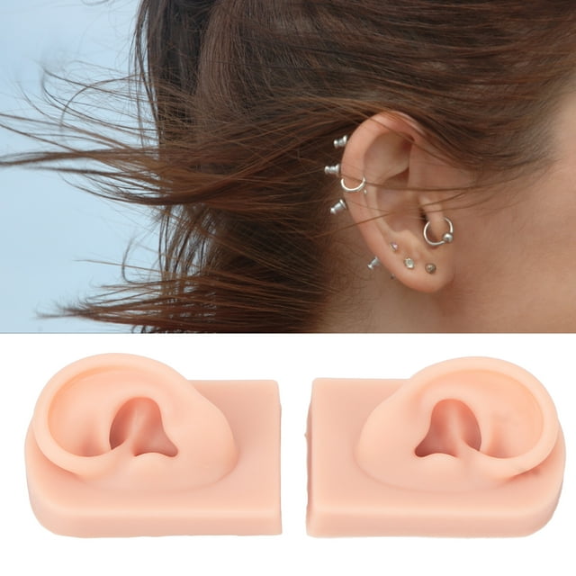 Modèle d'Oreille en Silicone Souple, Souple et Réutilisable pour l'Acupuncture, la Pratique et l'Exposition, Amplificateurs d'Audition