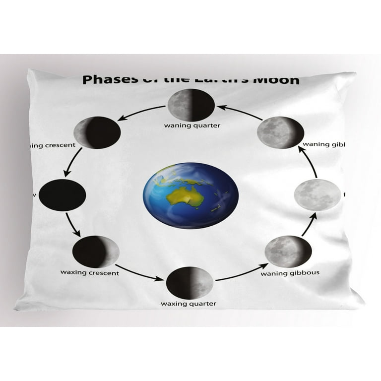 Standard pillow 2024 sham measurements