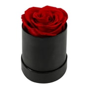 Rosnek Real Preserved Forever Roses in Gift Box, Fresh-Cut Eternity Flower, Red, 1/7/8Pcs