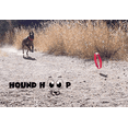 thumbnail image 2 of Hound Hoop - Blue, 2 of 9