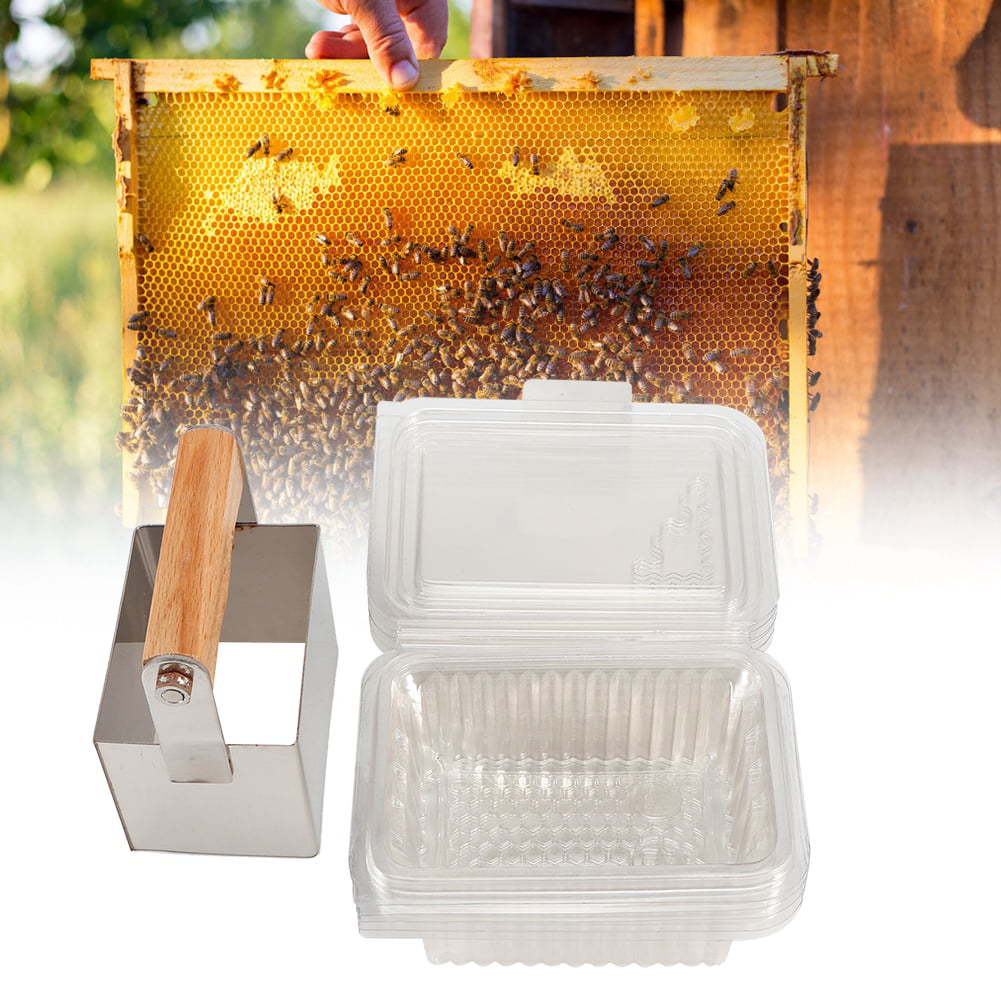 Details about   Stainless Steel Comb Honey Cutter Scraper Plastic Box Cutting Beekeeping Tool 