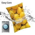 thumbnail image 6 of Honeii Ripe Yellow Lemon Print Pillow Cases,Plush Throw Pillow Covers,Decorative Pillowcase for Sofa, Couch, Living Room-14"x20", 6 of 6
