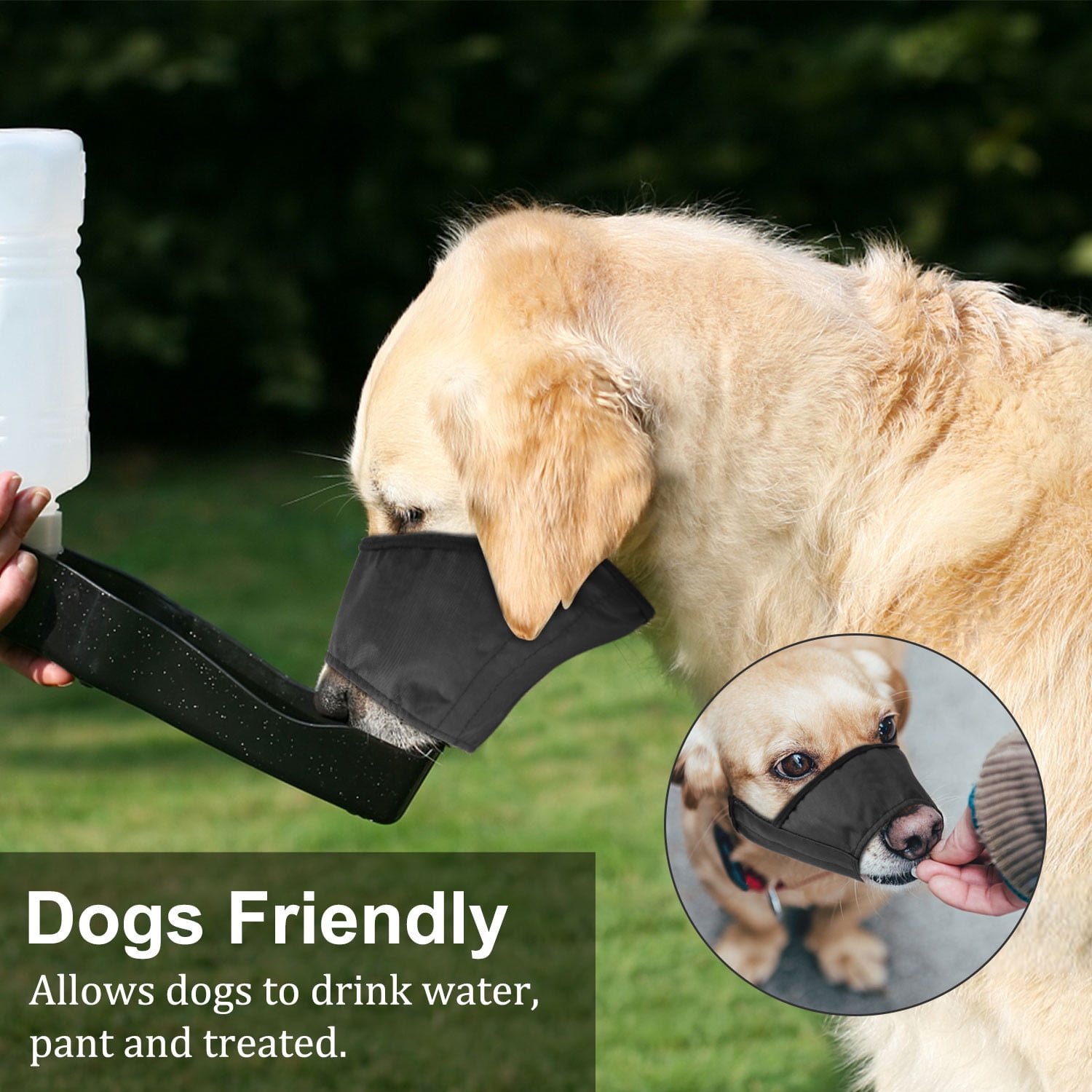 Can A Dog Still Drink Water With A Muzzle On