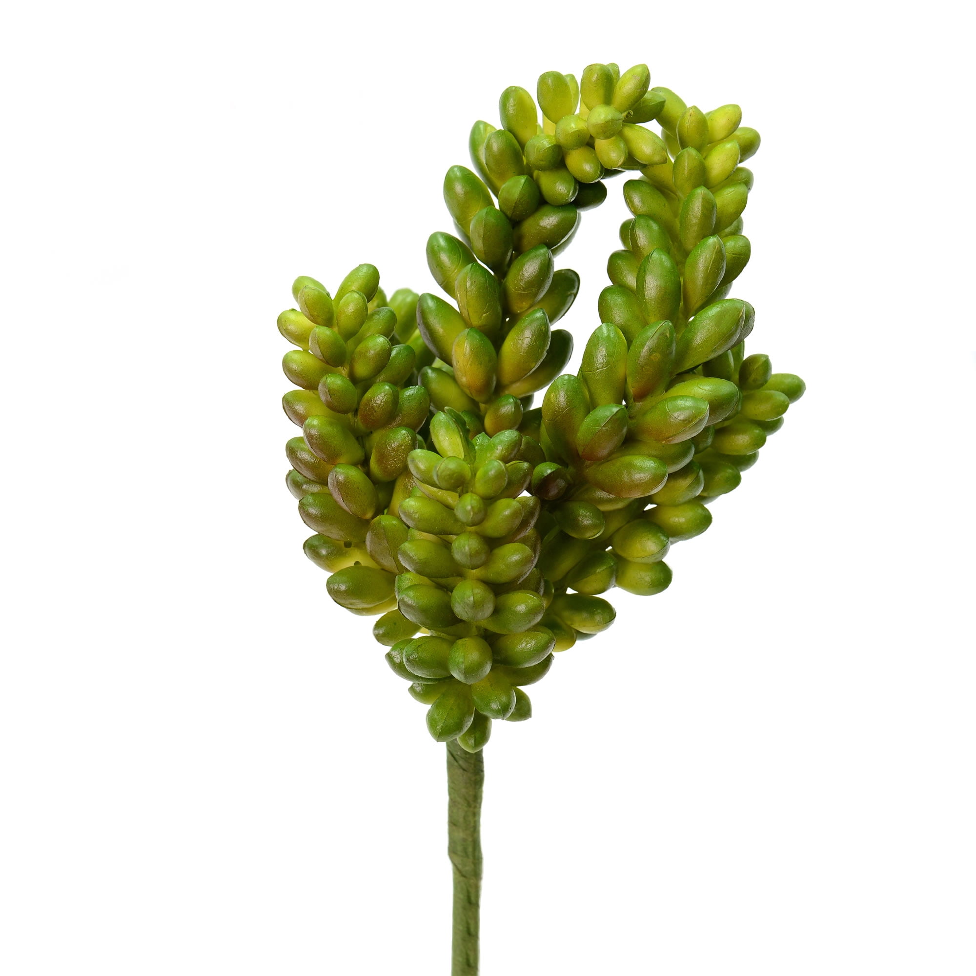 Vickerman Everyday 7' Indoor Artificial Green Donkey Tail Pick - Unique Colorful Succulent Pick of Durable PVC - Maintenance Free - 3 per pack