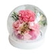 thumbnail image 1 of Decoración de flores eternas, cubierta de cristal esférica de clavel rosa con luz, regalo de cumpleaños, regalo de vacaciones para familiares y amigos, 1 of 5