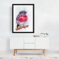 thumbnail image 6 of Red and Gray Bird - Painting Watercolor Bird Animal Illustration Wildlife Nature Black Framed Wall Art Print 6 x 8 inches, 6 of 7