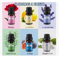 thumbnail image 3 of Kit  Xtellar De Fabricación De Velas Aromáticas, 3 of 5