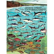 New York Puzzle Company Vintage Images Fishes of The California Current 1000 Piece Jigsaw Puzzle