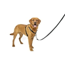 PetSafe 3 in 1 Harness, No-Pull Dog Harness and Car Restraint, Large, Black
