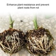 thumbnail image 2 of Flmtop 5Pcs/Set Propagation Balle Léger Durable Portable Plante Propagation Racine Balle pour Transplantation, 2 of 9