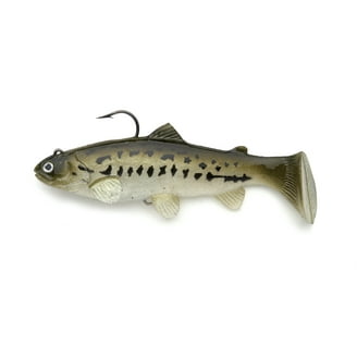 Castaic Soft Bait Swim Bait Trout, 6