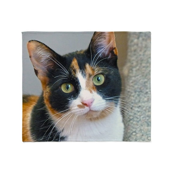 CafePress - Bandit Throw Blanket - Soft Fleece Throw Blanket, 50"x60" for All Ages