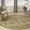 Sage Ivory, variant on Nourison Allur Persian Navy/Multicolor 5'3" x round Area Rug (5 Round)