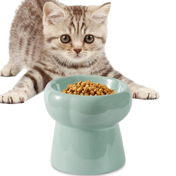 Best cat food container online