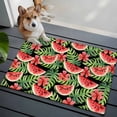 thumbnail image 3 of 2x3 Ft Entryway Area Rug, Watermelon Kitchen Rug Runner Washable Floor Mat, Summer Fruit Green Tropical Palm Leaf Flower Non Slip Indoor Door Mat Throw Carpet for Bathroom Living Room Bedroom, 3 of 8