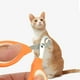 thumbnail image 5 of Cortauñas para gatos, cortaúñas para gatos, cortaúñas para gatos, cortaúñas para gatos, cortauñas para gatos domésticos, 5 of 6