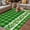 Green, variant on St. Patrick's Day Outdoor Rug for Patio/Deck/Porch, Non-Slip Large Area Rug 3 x 5 Ft, Lucky Shamrock Grasses Black White Plaid Indoor Outdoor Rugs Washable Area Rugs, Camping Rug Carpet Runner