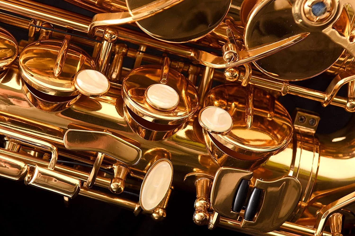 Saxophone Herche Superior Alto Saxophone X3 | High F# Key | Educator Approved & Service Plan