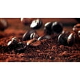 thumbnail image 5 of Bayou City Coffee Butterscotch Toffee Organic & Fair Trade Medium Roast Ground Coffee  12 oz, 5 of 5