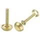 thumbnail image 1 of Uxcell Tornillos Decorativos con Tapas, Tornillos de Espejo Clavos Sujetadores para Muebles Decorativos Dorado 15mm, 1 of 5