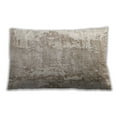 thumbnail image 1 of Ahgly Company Outdoor Rectangular Mid-Century Modern Lumbar Throw Pillow, 13 inch by 19 inch, 1 of 5