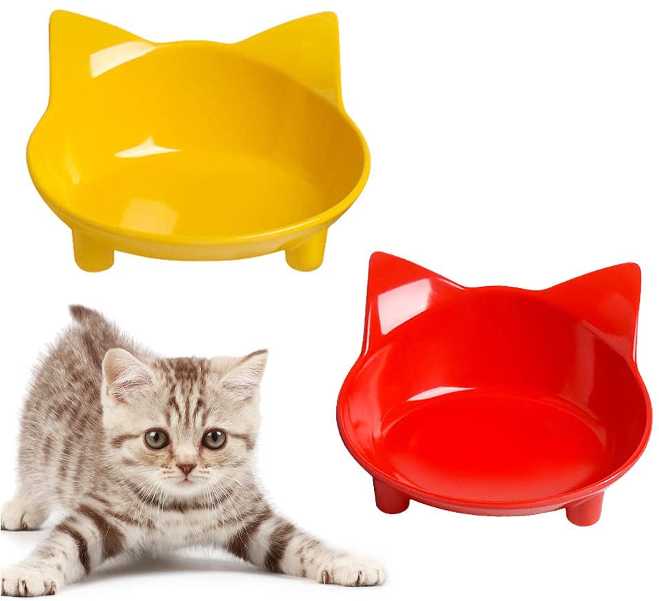 wide shallow cat bowls