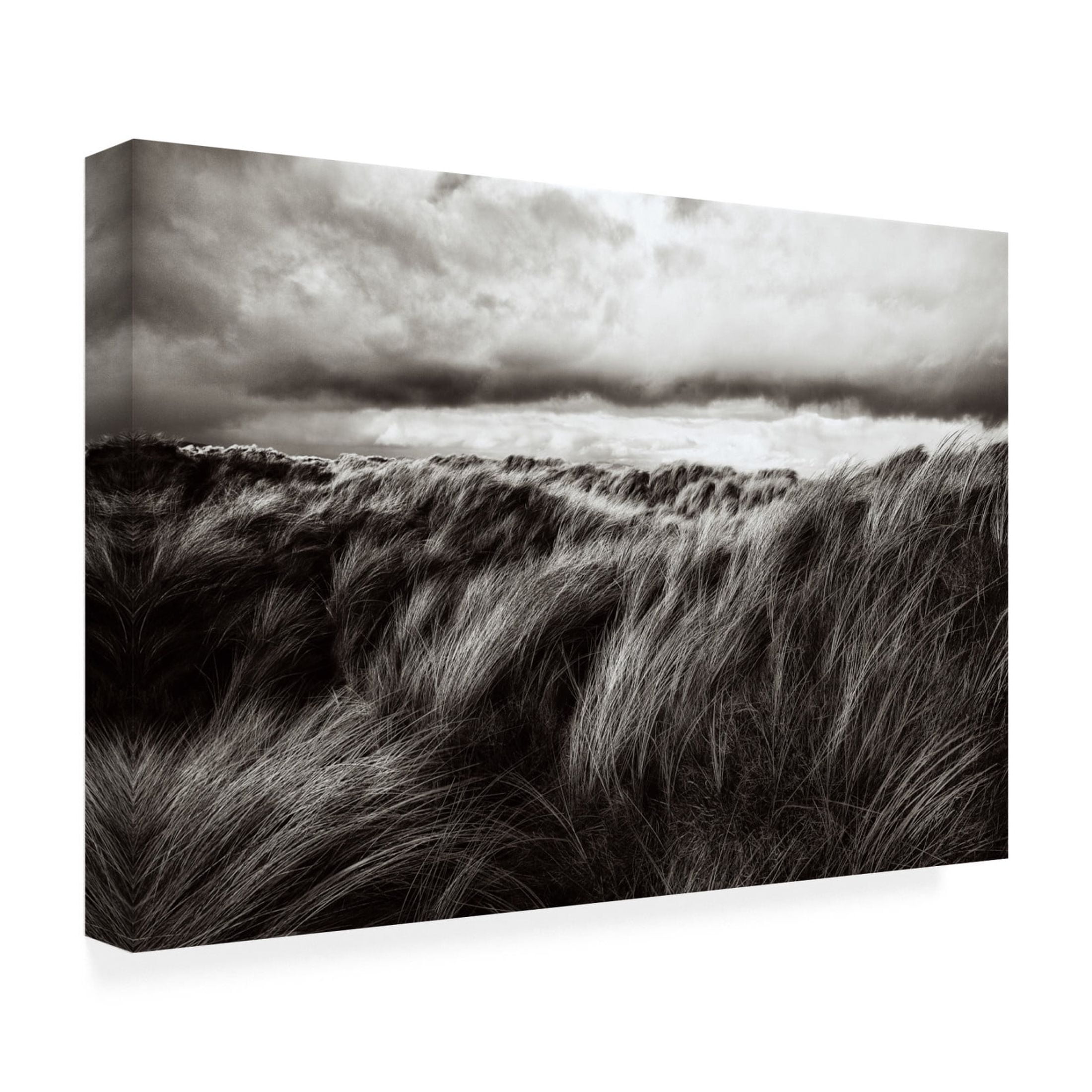 Canvas Wall Art - Paul  'Dunes Of Grass' Wall Art for Living Room, Bedroom, or Office Décor by Trademark Fine Art - 24 x 16 Inches
