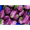 thumbnail image 1 of Fée Conte F1 Aubergine - non-OGM - 10 Graines, 1 of 3