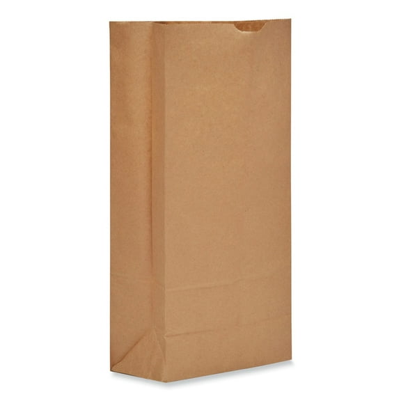 Ross & Wallace Paper Products 130325SP 8.25 in. x 5.38 in. x 18 in. #25 Heavy-Duty Grocery Paper Bags - Kraft (500/Bundle)
