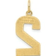 thumbnail image 3 of 14K Yellow Gold Large Brushed Diamond-Cut Number 2 Charm (20.52 X 10.98) Made In United States ln02, 3 of 5