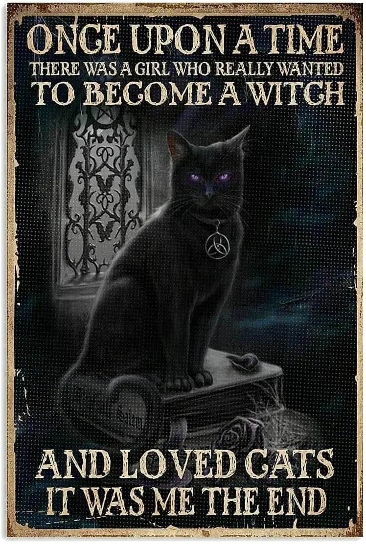 Ballet Knowledge – Cartel De Etal Divertido Con Diseño De Los Estilos