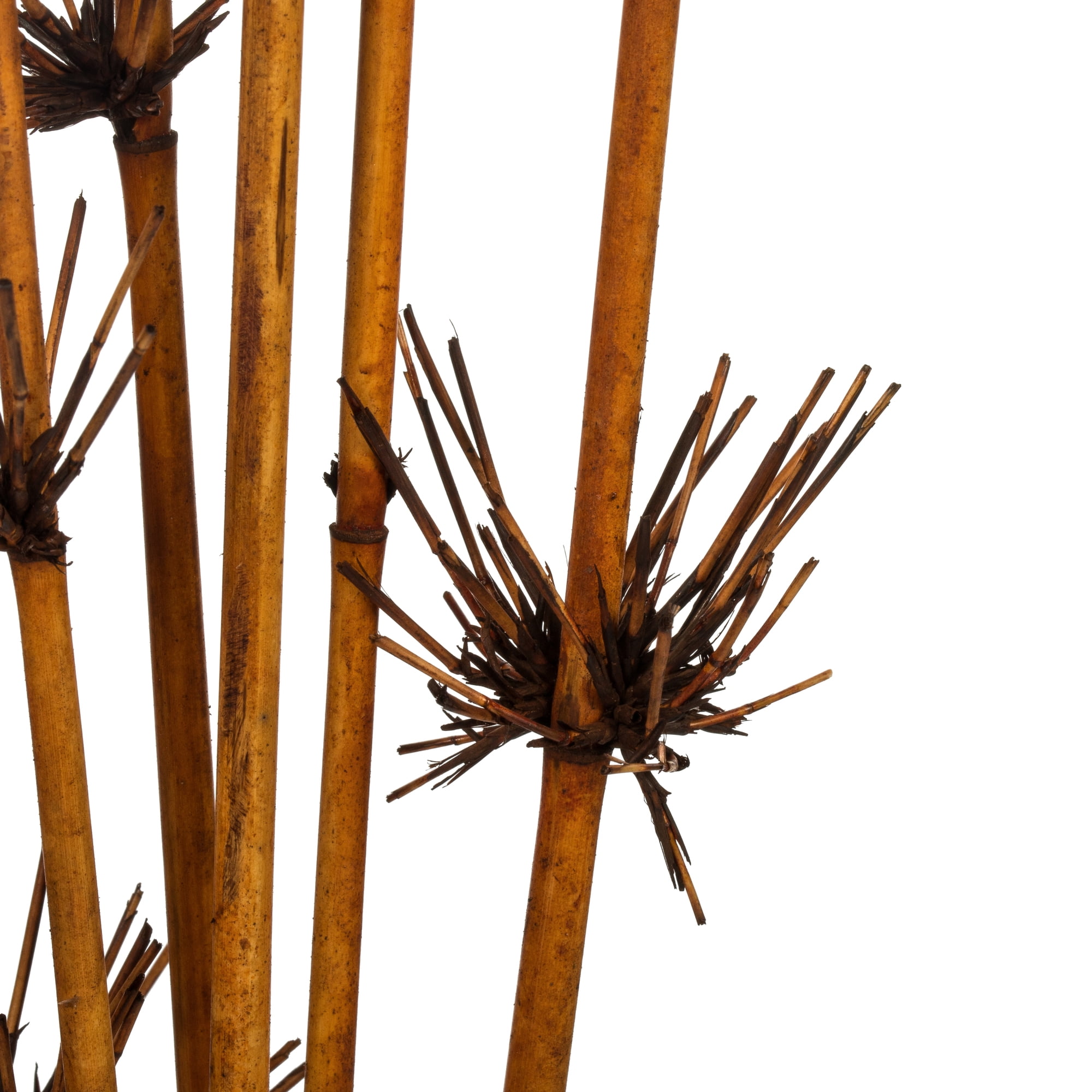 Vickerman 36-40" Brown Star Bamboo Reed, 7 stems, Dried