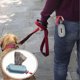 thumbnail image 3 of 2 PCS Dog Poop Bag Holder Pet Poop Bags Dispenser Scratchresistant Pet Waste Bags Dispenser with Lanyard and Metal Hook for Walking Running Hiking 11, 3 of 4