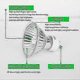 thumbnail image 5 of Bulb 25 Watt NP5 Replacement Bulbs for Candle Warmer,120V GU10 MR16 JDR Halogen Bulb for Scent Wax Burner, Fragrance Melt, Warming Bulb,Dimmable,Warm, 5 of 5