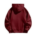 thumbnail image 3 of Dgankt Mens Hoodies Solid Color Hooded Cardigan Loose Casual Sports Zipper Sweatshirt Jacket,Size S-3XL, 3 of 8