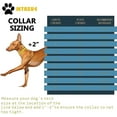 thumbnail image 3 of Collar De Estrangulador De Cadena De Perro De Oro, Eslabón Cubano Sólido Fuerte, Resistente A La Masticación Con Diseño Hebilla Segura Y Etiqueta De Identificación En Forma De B En Blanco_re, 3 of 5