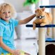 thumbnail image 4 of Airtag Cat Collar, Reflective Cat Collar With Silicone Airtag Holder And Bell, Breakaway Kitten Collar With Safety Buckle For Girl Boy Cats, 4 of 4