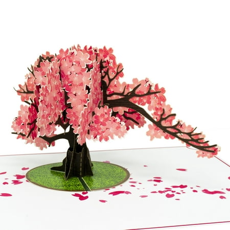 Paper Love Cherry Blossom Pop Up Card, 3D Popup Greeting Cards, For Mothers Day, Graduation, Spring, Valentines Day, Wedding, Anniversary, Birthday, Any (Best Mothers Day Greetings)