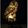 thumbnail image 5 of Farola solar resina búho blanco al aire libre impermeable LED césped lam Sailing Electrónica, 5 of 5