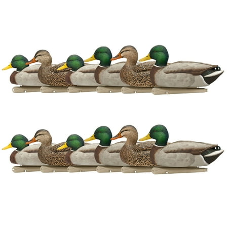 Avian X Top Flight Open Water Mallards Decoys Ultra Realistic 12 Pack