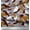 Wine Red, variant on Soimoi polyester Crepe Fabric Two Tone With White Camouflage Printed Craft Fabric by the Yard 42 Inch Wide