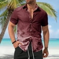 thumbnail image 2 of IWRICH Men's Hawaiian Short Sleeves Shirt Button down Beach Tops Summer Casual Floral Printed Holiday Tees Wine XL, 2 of 4